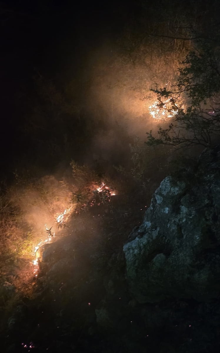 Antalya'nın Alanya ilçesinde ormanlık alanda çıkan yangın söndürüldü.