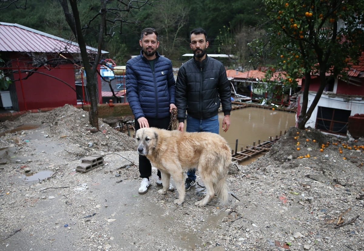 Antalya'nın Alanya ilçesinde yağış sonrası debisi yükselen Dim Çayı'ndaki çardakta mahsur kalan...