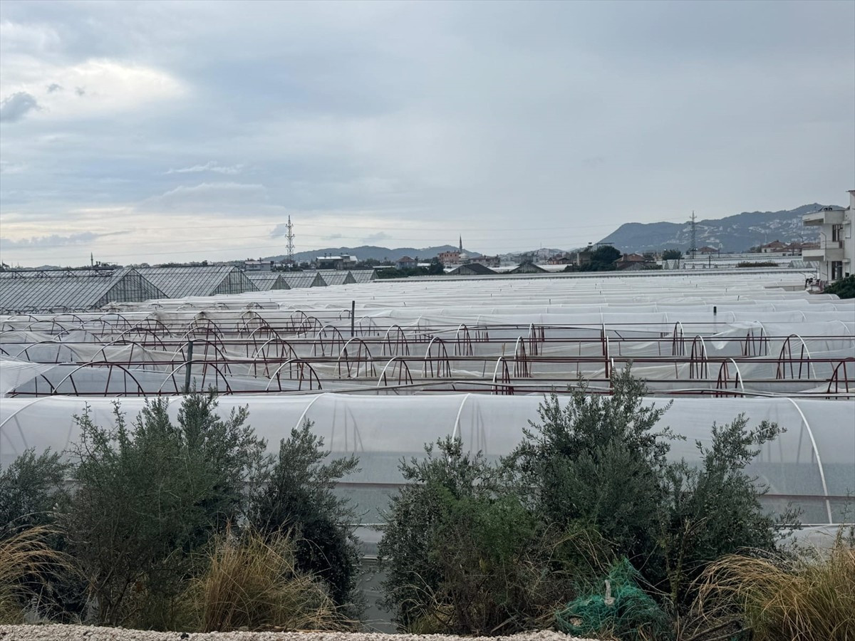 Antalya'nın Demre ilçesi Yaylakaya Mahallesi'ndeki seralar sağanak ve rüzgar nedeniyle hasar...