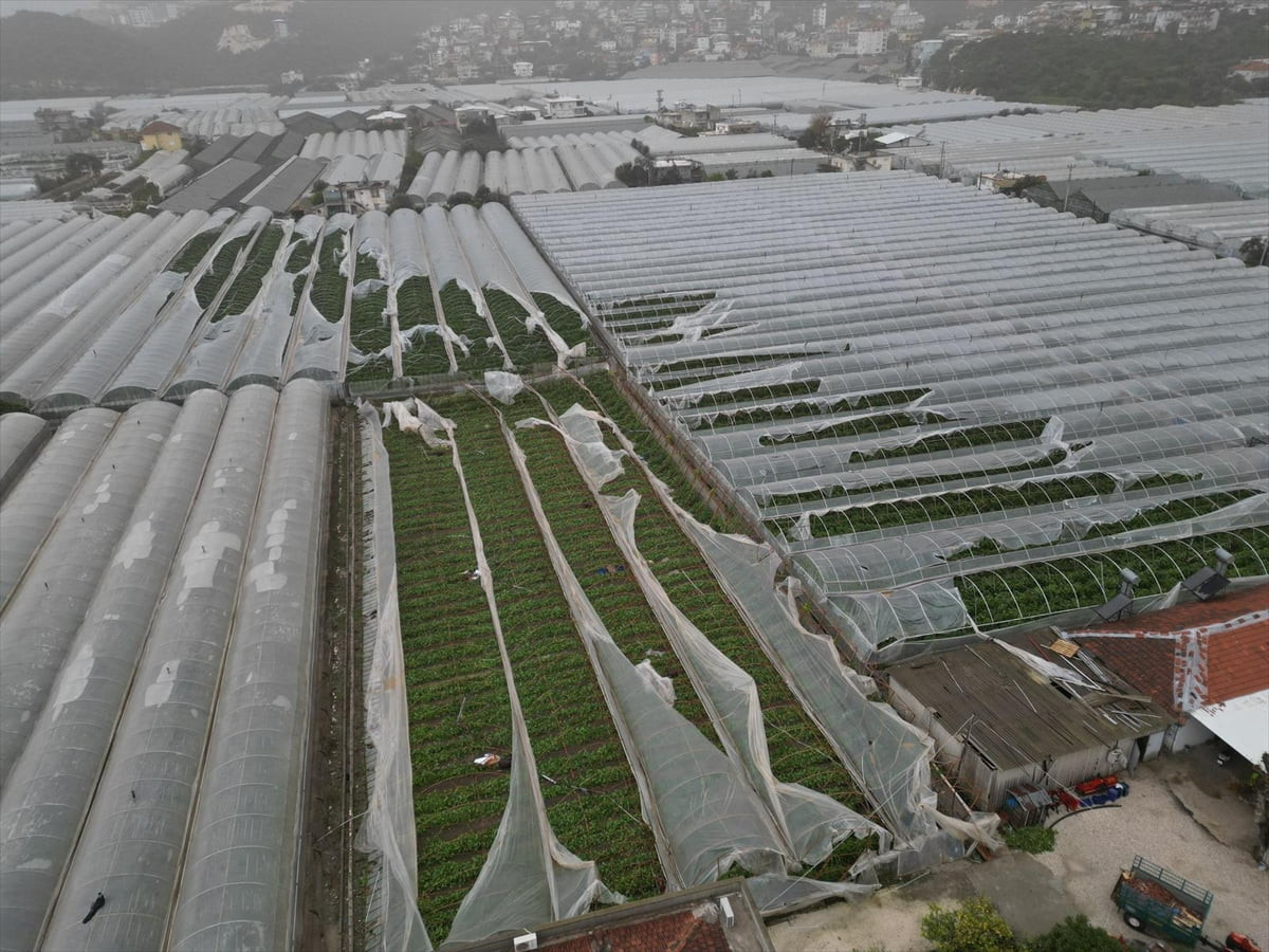 Antalya'nın Demre ilçesinde yaşanan hortumun zarar verdiği seralarda hasar tespit çalışmaları...