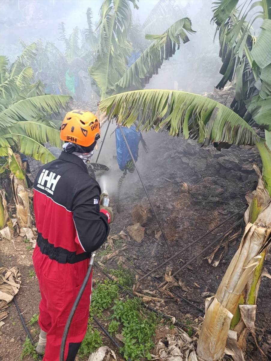 Antalya'nın Gazipaşa ilçesinde muz bahçelerinde çıkan yangına müdahale ediliyor. Rüzgarın da...