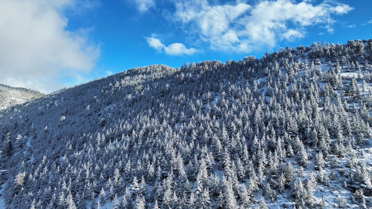 Antalya'nın Kaş ilçesinde kent merkezine 65 kilometre uzaklıktaki Gömbe Mahallesi'nin 1560 rakımlı...