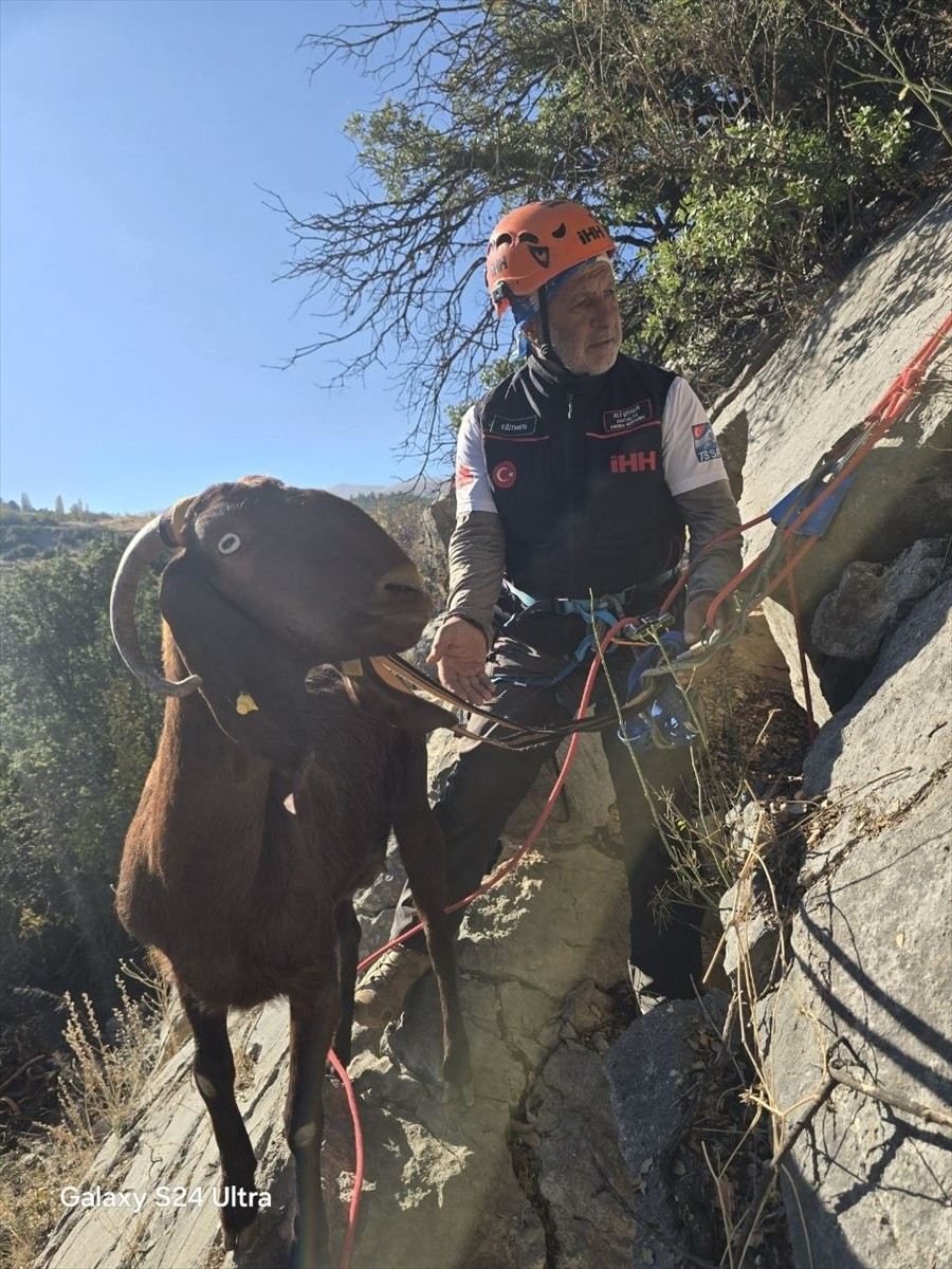 Antalya'nın Korkuteli ilçesinde kayalıklarda mahsur kalan 3 keçi kurtarıldı. Ekip, Kayalıklarda...