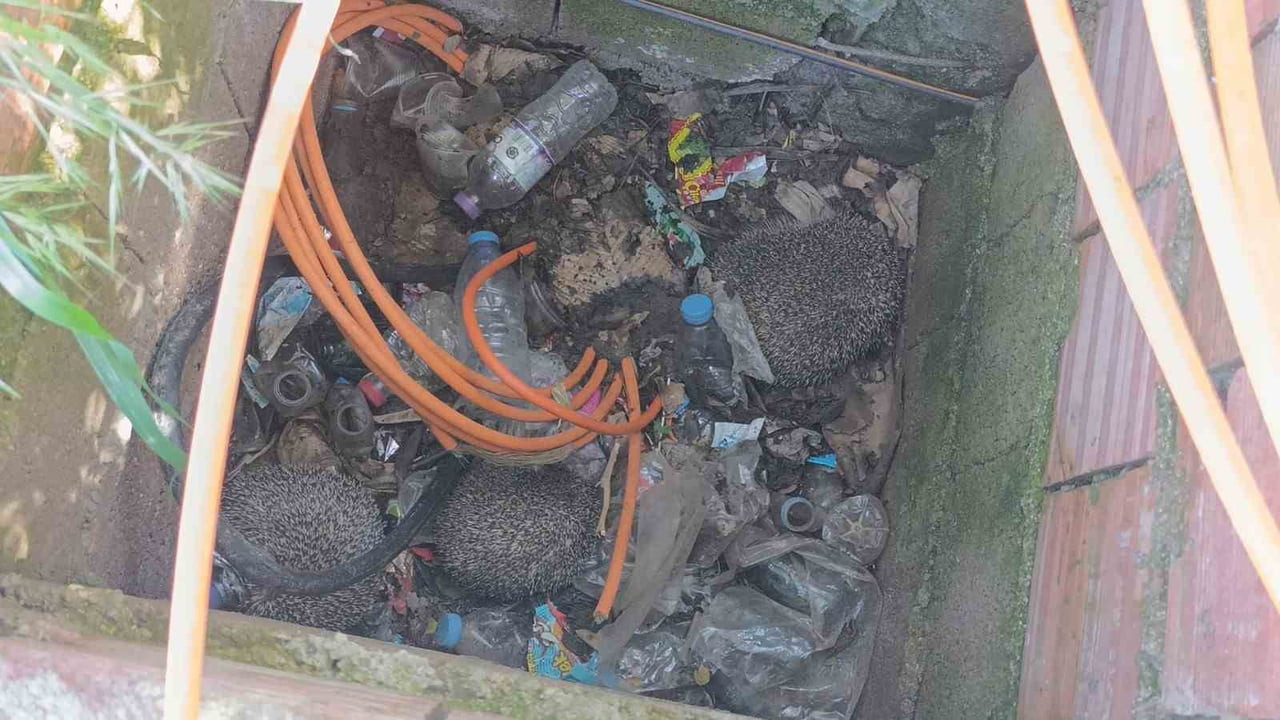 ANTALYA'NIN MANAVGAT İLÇESİNDE İTFAİYE EKİPLERİ, GELEN İKİ AYRI İHBAR ÜZERİNE GERÇEKLEŞTİRDİKLERİ...