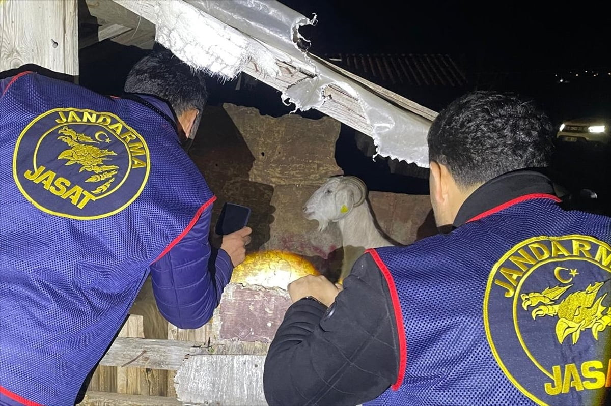 Antalya'nın Manavgat ilçesinde küçükbaş hayvan hırsızlığı yaptıkları iddia edilen 4 şüpheli...