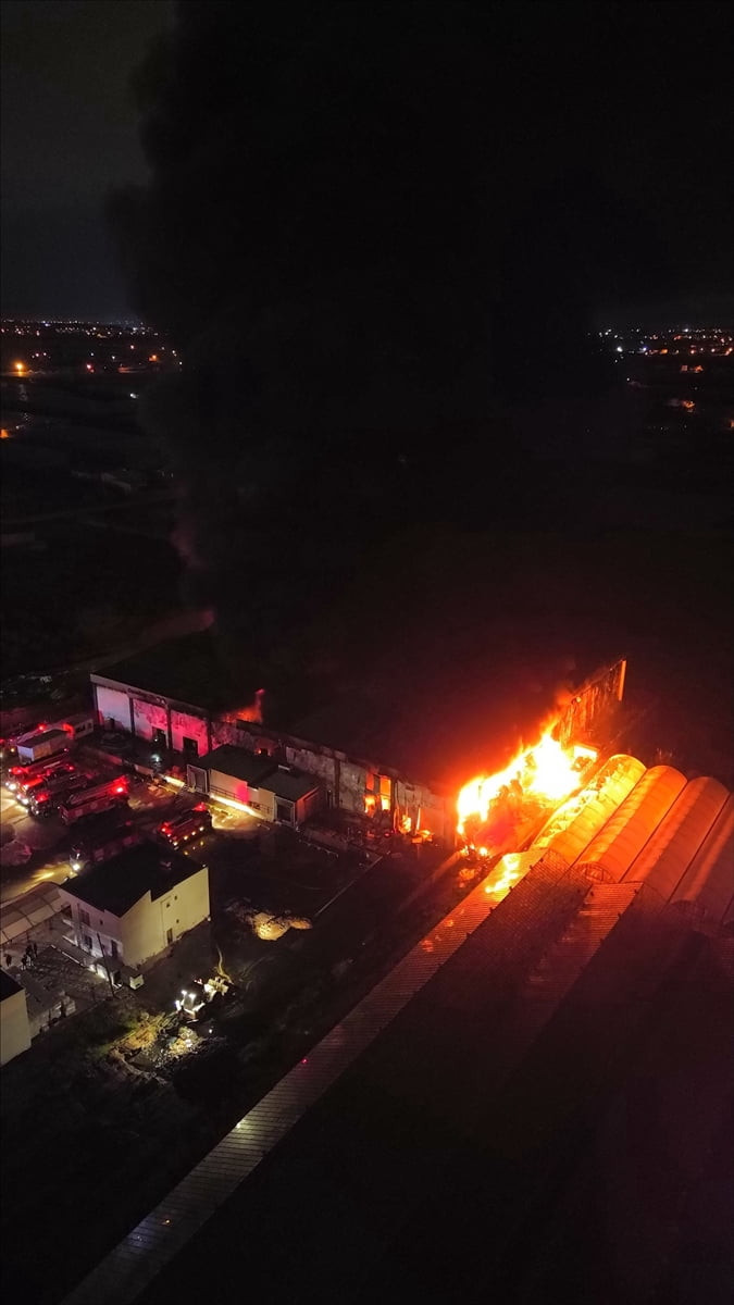 Antalya'nın Serik ilçesinde, soğuk hava deposunda çıkan yangın kontrol altına alınmaya...