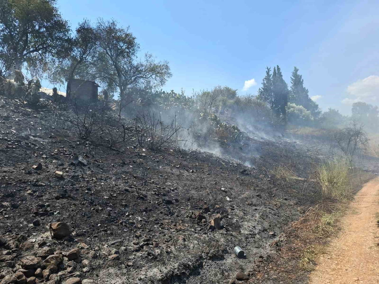 ANTALYA'NIN SERİK İLÇESİNDE YOL KENARINDAKİ OTLUK VE ÇALILIK ALANDA ÇIKAN YANGIN, EKİPLERİN...