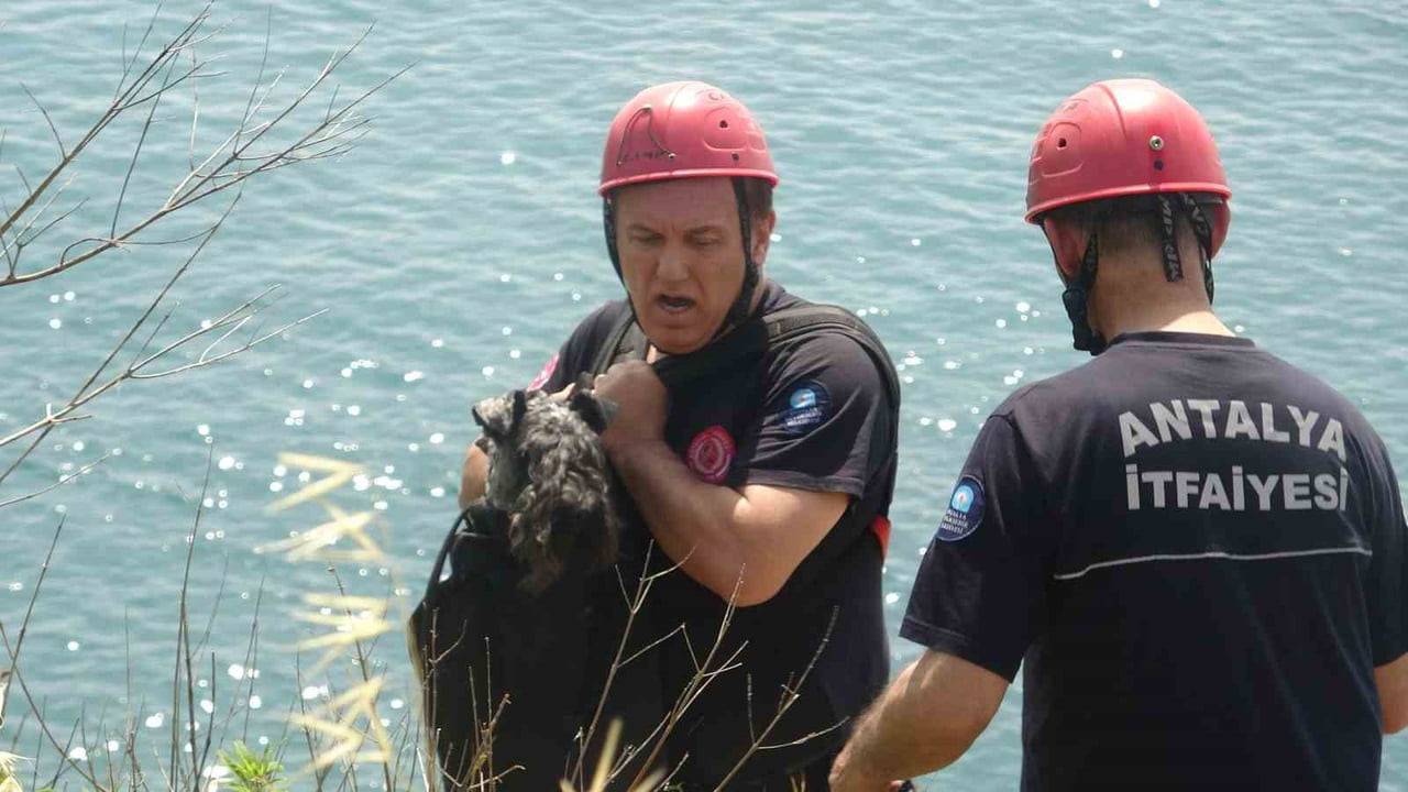 ANTALYA’DA SAHİBİ İLE PARKTA GEZERKEN BİR KEDİNİN PEŞİNE DÜŞEREK FALEZLERDEN DÜŞEREK MAHSUR KALAN...