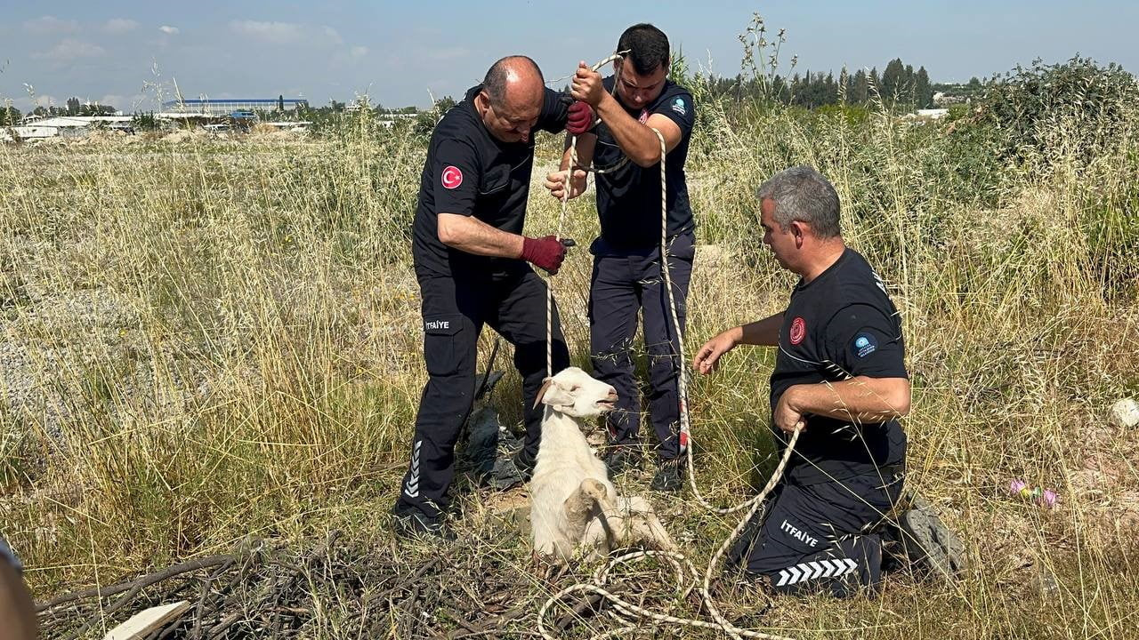 ANTALYA’NIN AKSU İLÇESİNDE OTLADIĞI SIRADA KANALİZASYON ÇUKURUNA DÜŞEN OĞLAK, İTFAİYE EKİPLERİNİN...