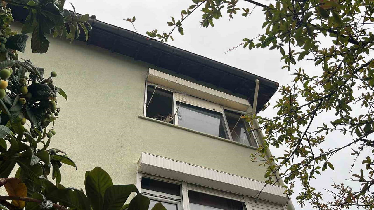 ANTALYA’NIN ALANYA İLÇESİNDE BİR EV KEDİSİ İÇİN MAHSUR KALDIĞI İÇİN YAPILAN İHBAR, ASILSIZ...