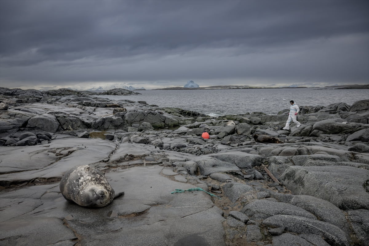 Antarktika’da yürütülen bilimsel çalışmalar, küresel çevre krizinin etkilerinin Beyaz Kıta’ya...