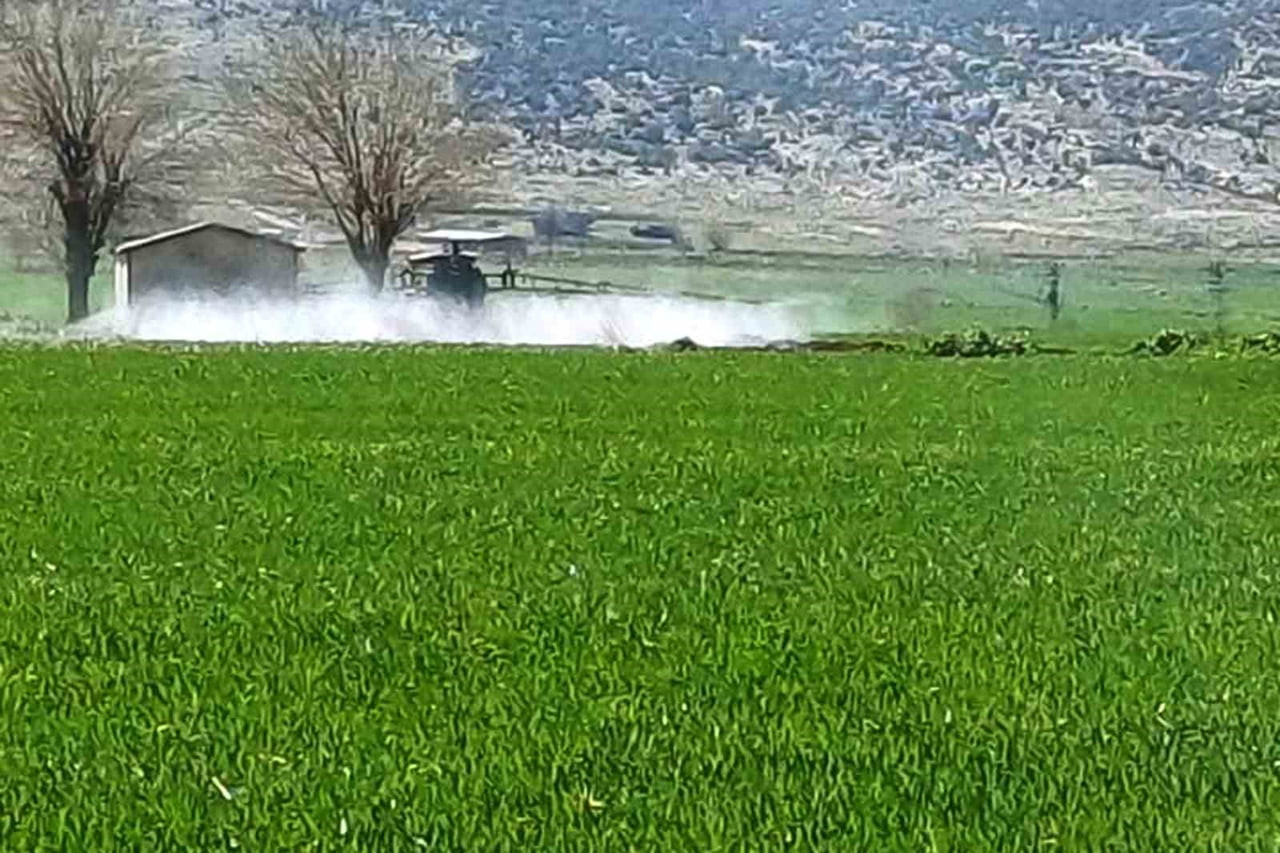 ARABAN'DA SARI PAS HASTALIĞINI ÖNLEMEK AMAÇLI İLAÇLI MÜCADELE BAŞLATILDI