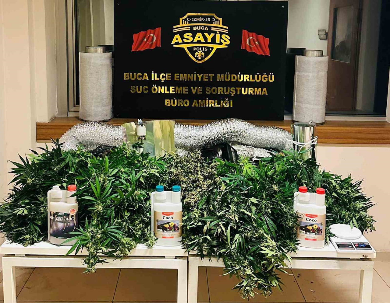 ARAMALARDA 331 GRAM ESRAR MADDESİ, 11 KÖK HİNT KENEVİRİ, 1 ADET HASSAS TERAZİ VE UYUŞTURUCU...