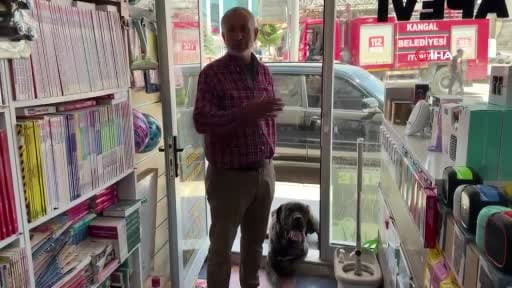Arazide yayılan hayvanları kayboldu, gelen telefon ile hayatının şokunu yaşadı