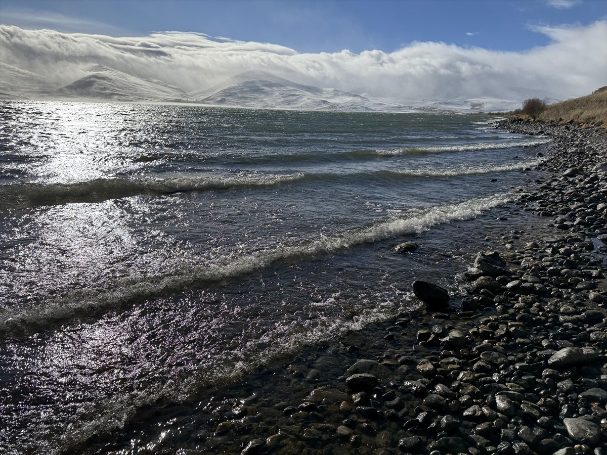 Ardahan-Kars sınırında yer alan Çıldır Gölü'nün donan kıyıları, rüzgarın oluşturduğu dalgalar...