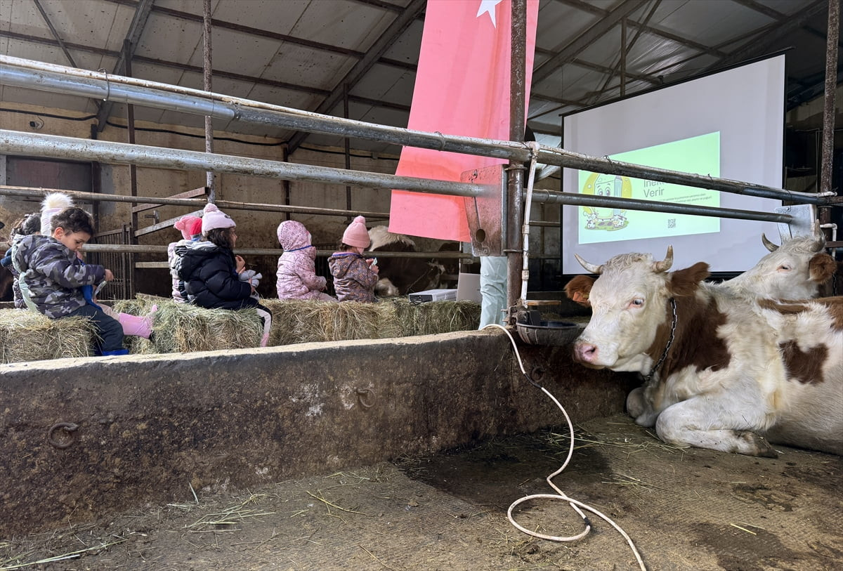 Ardahan'da anaokulu öğrencileri için başlatılan "Minik Çiftçi Akademisi" projesi ile çocuklar...