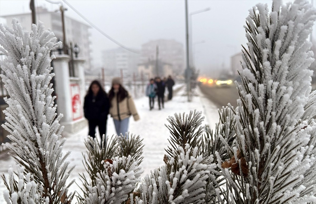 Ardahan'da dondurucu soğuk hava yaşamı olumsuz etkiliyor. Gece hava sıcaklığının sıfırın altında...