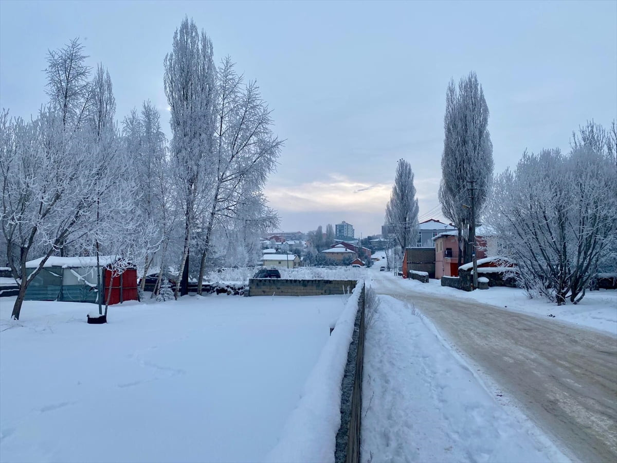 Ardahan'da etkisini sürdüren soğuk hava nedeniyle kırağı oluştu.