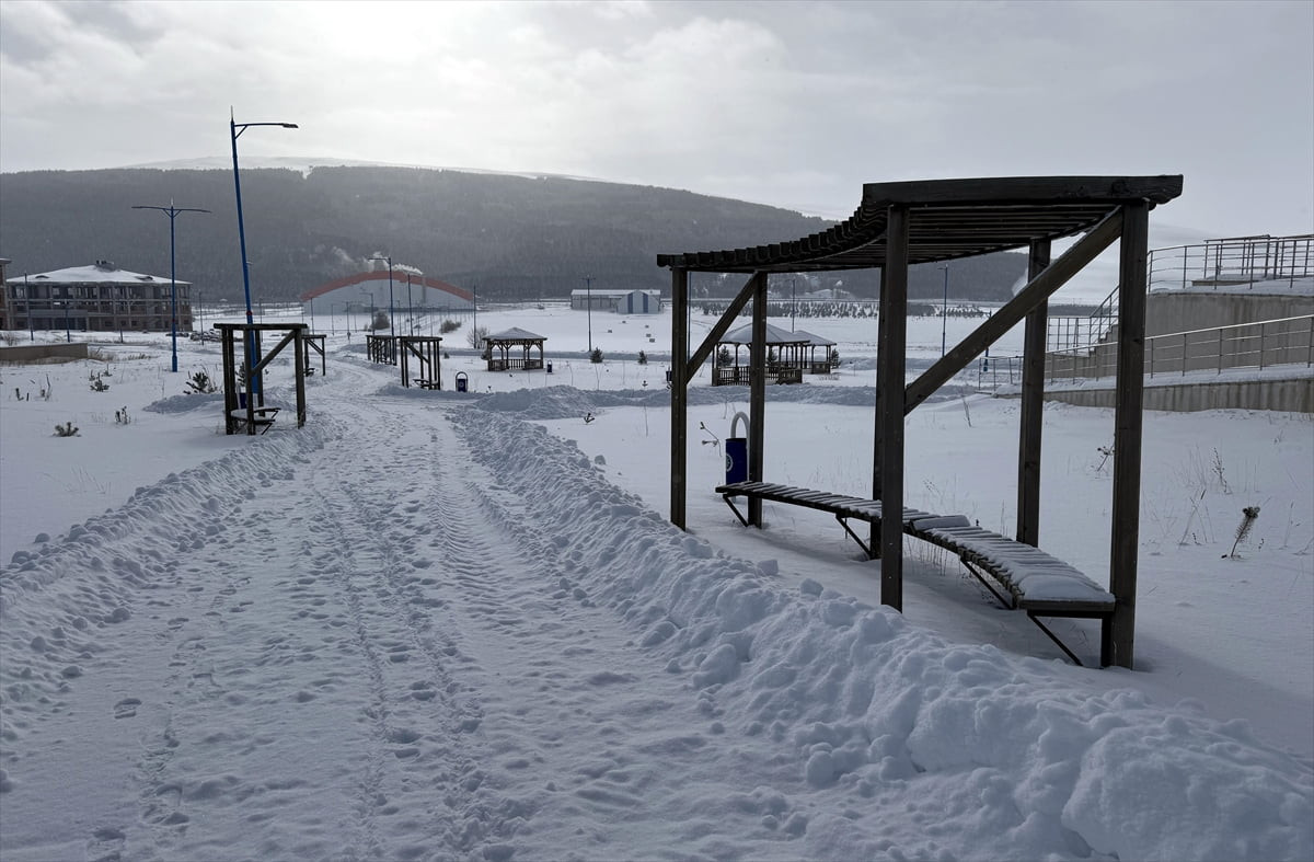 Ardahan'da kar yağışı etkili oldu.