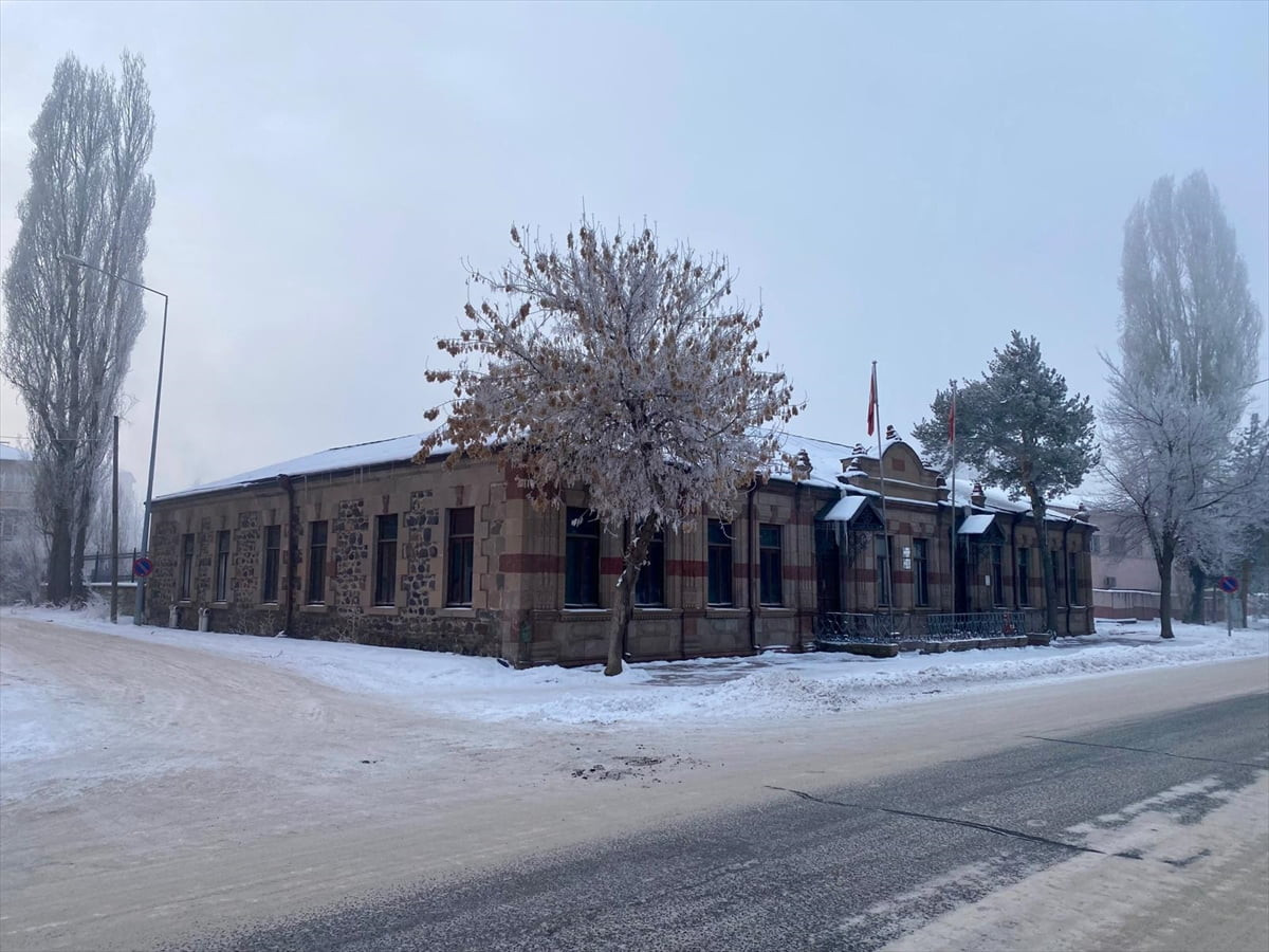 Ardahan'da soğuk hava nedeniyle kırağı oluştu.