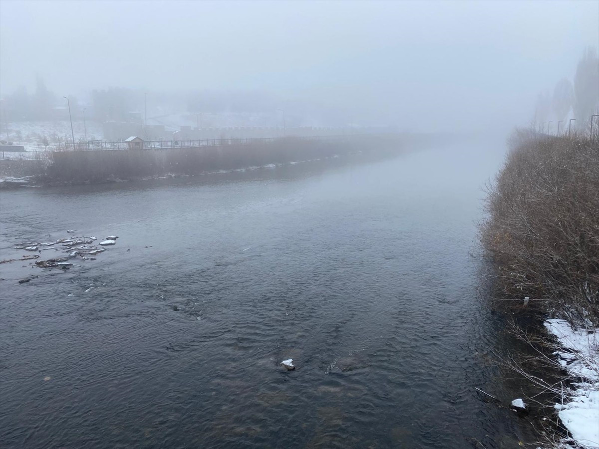 Ardahan'da soğuk hava ve sis nedeniyle bitki ve ağaçlarda kırağı oluştu.