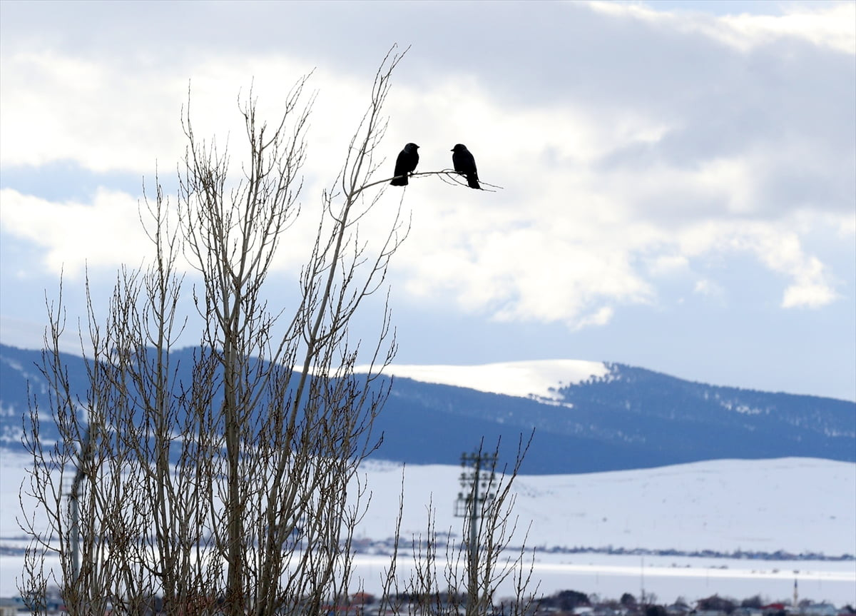 Ardahan'da yüksek kesimlerde kar yağışı etkili oldu.