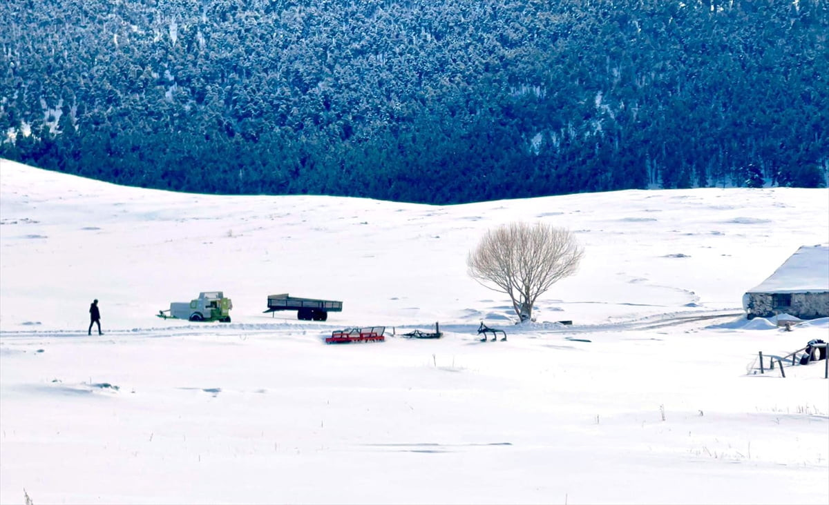Ardahan'ın yüksek kesimlerinde kar yağışı etkisini sürdürüyor.