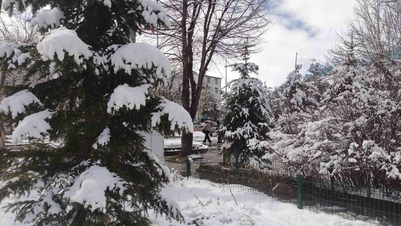 Ardahan'da Kartpostallık Kar Manzaraları