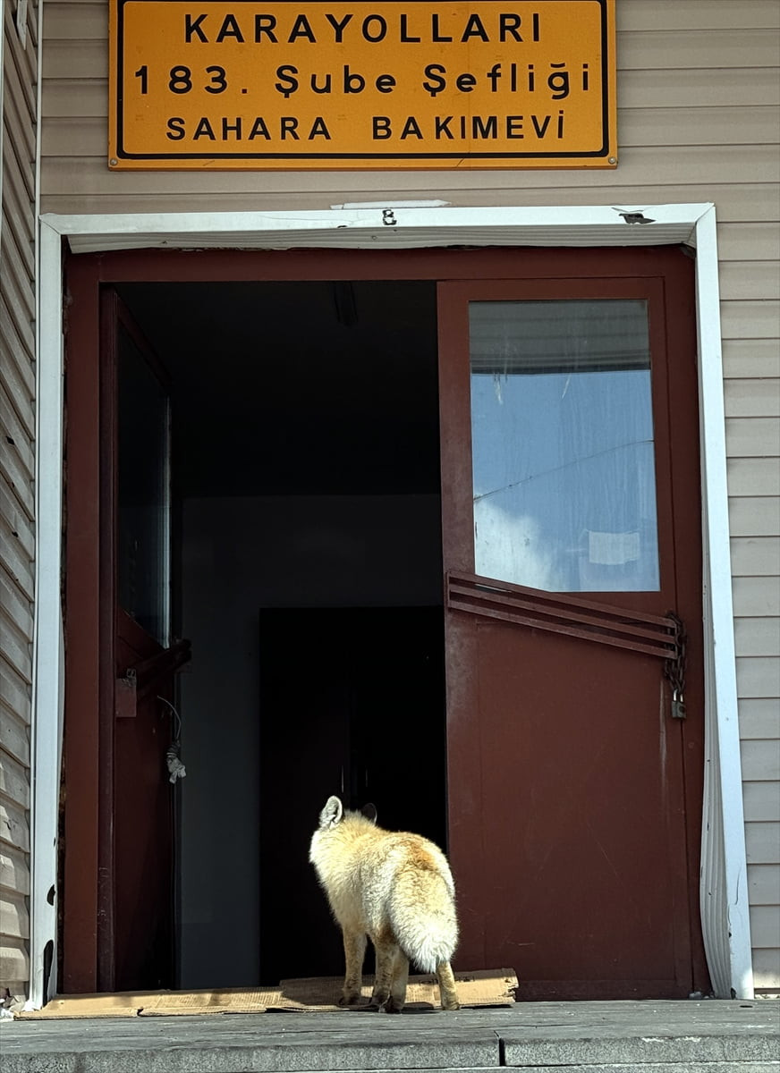 Ardahan’da zorlu kış koşullarında görev yapan Karayolları ekipleri, yolları açık tutma...