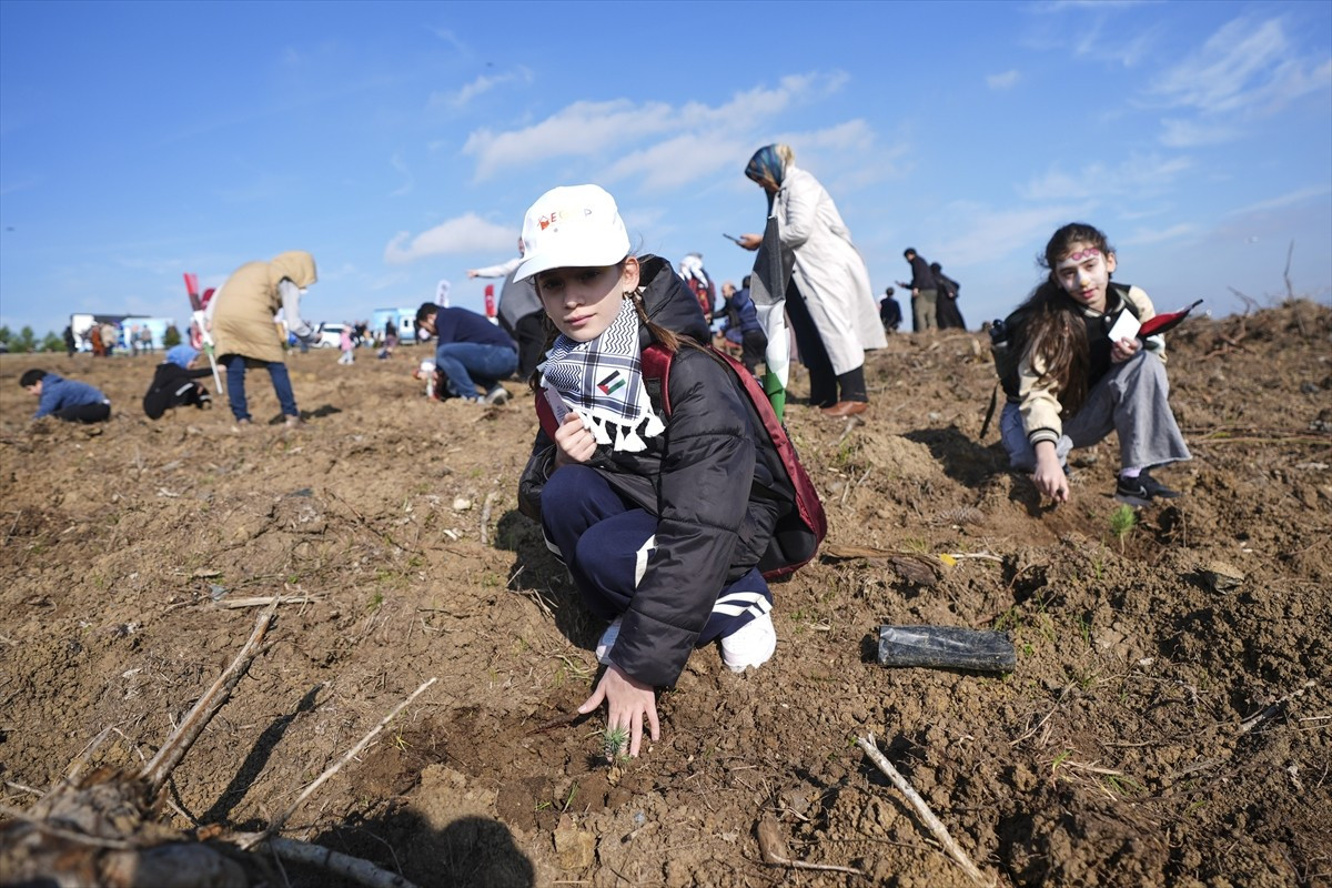 Arnavutköy İmrahor Mahallesi'ndeki ormanda, Filistin'e Destek Platformu, Orman Genel Müdürlüğü...
