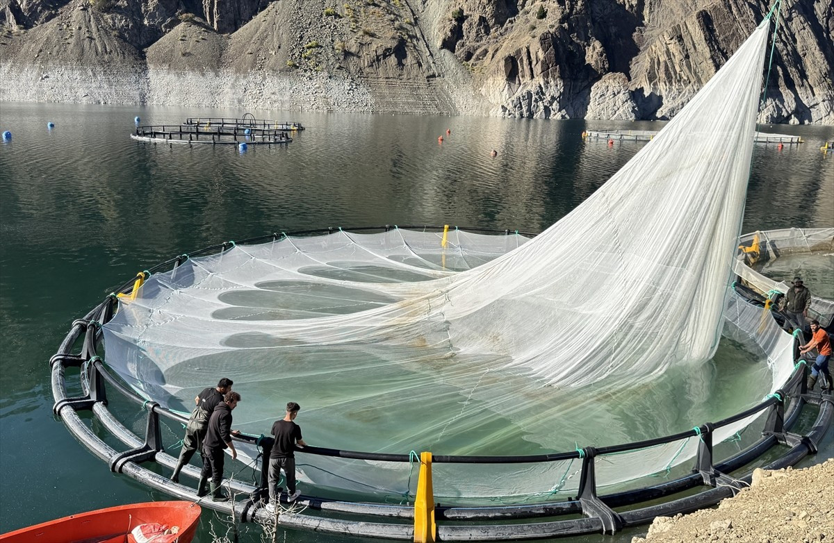 Artvin'de Çoruh Nehri üzerindeki baraj gölleri ve Karadeniz açıklarında kurulan kafeslerde...