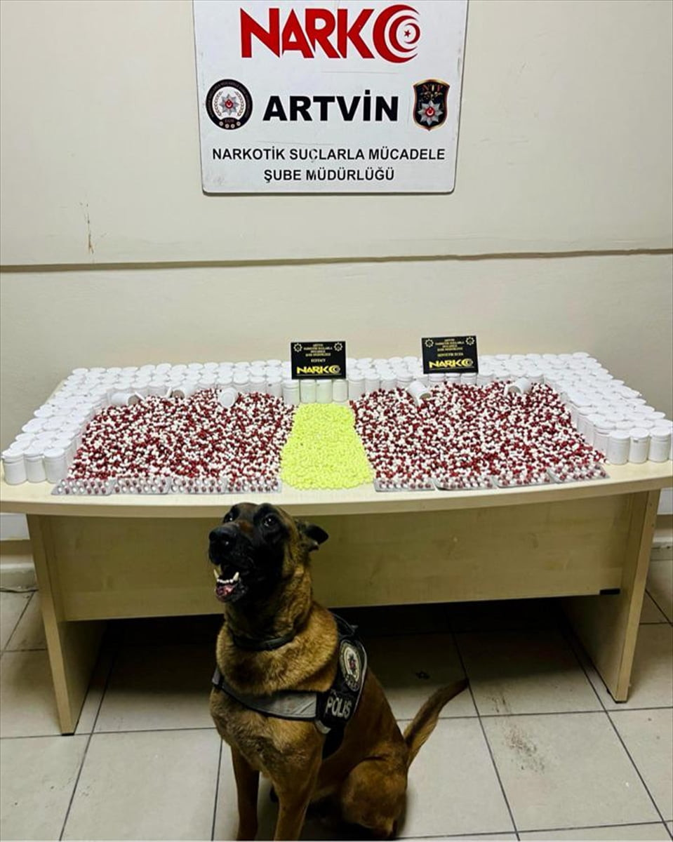 Artvin'de düzenlenen uyuşturucu operasyonunda 1 şüpheli yakalandı. Dedektör köpekle yapılan...