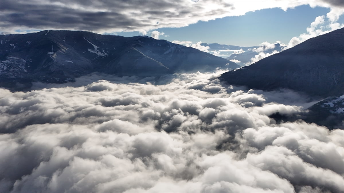 Artvin'de sabah saatlerinde etkili olan sis nedeniyle şehir merkezi sis altında kaldı.
