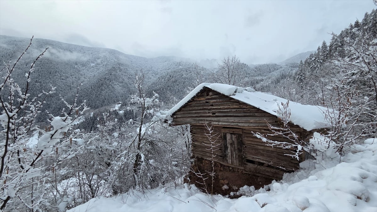Artvin'de yüksek kesimlerde etkili olan kar yağışının ardından kentin en önemli turizm...