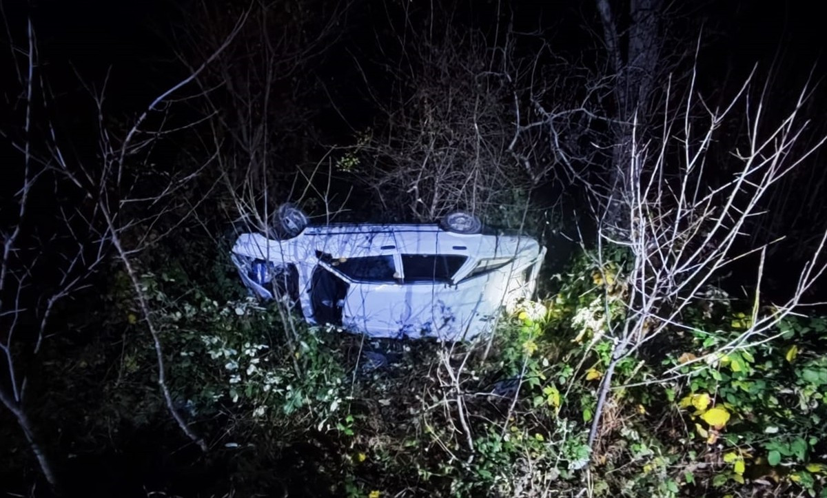 Artvin'in Ardanuç ilçesinde otomobilin uçuruma devrilmesi sonucu 4 kişi yaralandı.