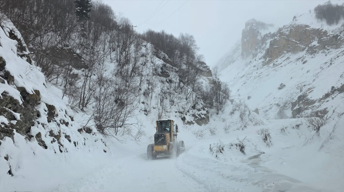 Artvin'in Ardanuç ilçesine bağlı Zekeriya köyünde çığ meydana geldi. Özel İdare ekipleri bölgeye...