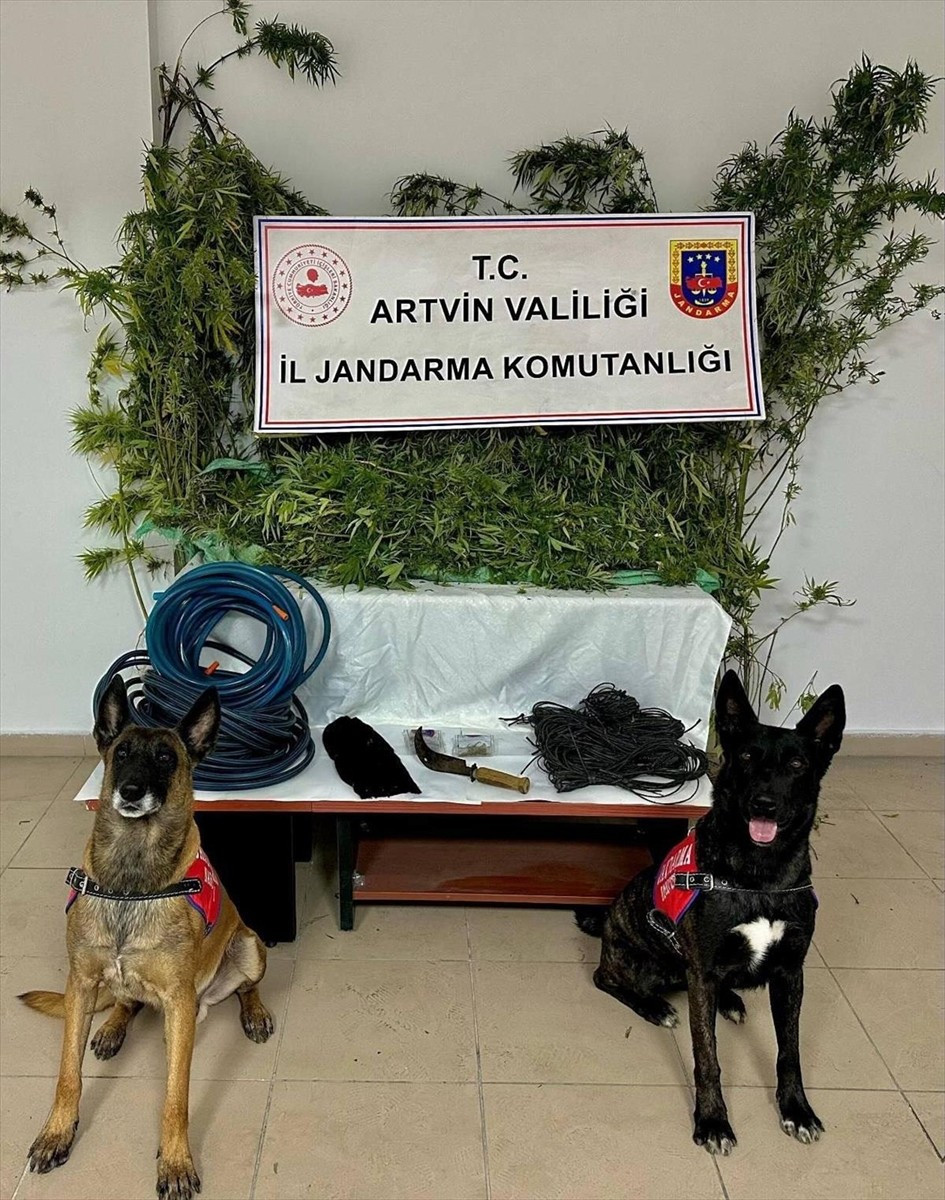 Artvin'in Arhavi ilçesinde uyuşturucu ticareti yaptığı ileri sürülen zanlı tutuklandı. Zanlıdan 15...