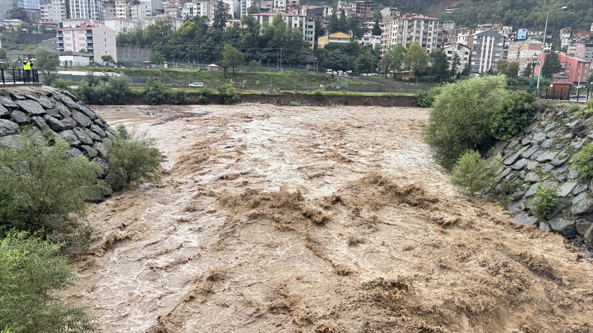 Artvin'in Borçka ilçesinde sağanak nedeniyle taşkın ve heyelanlar meydana geldi.
