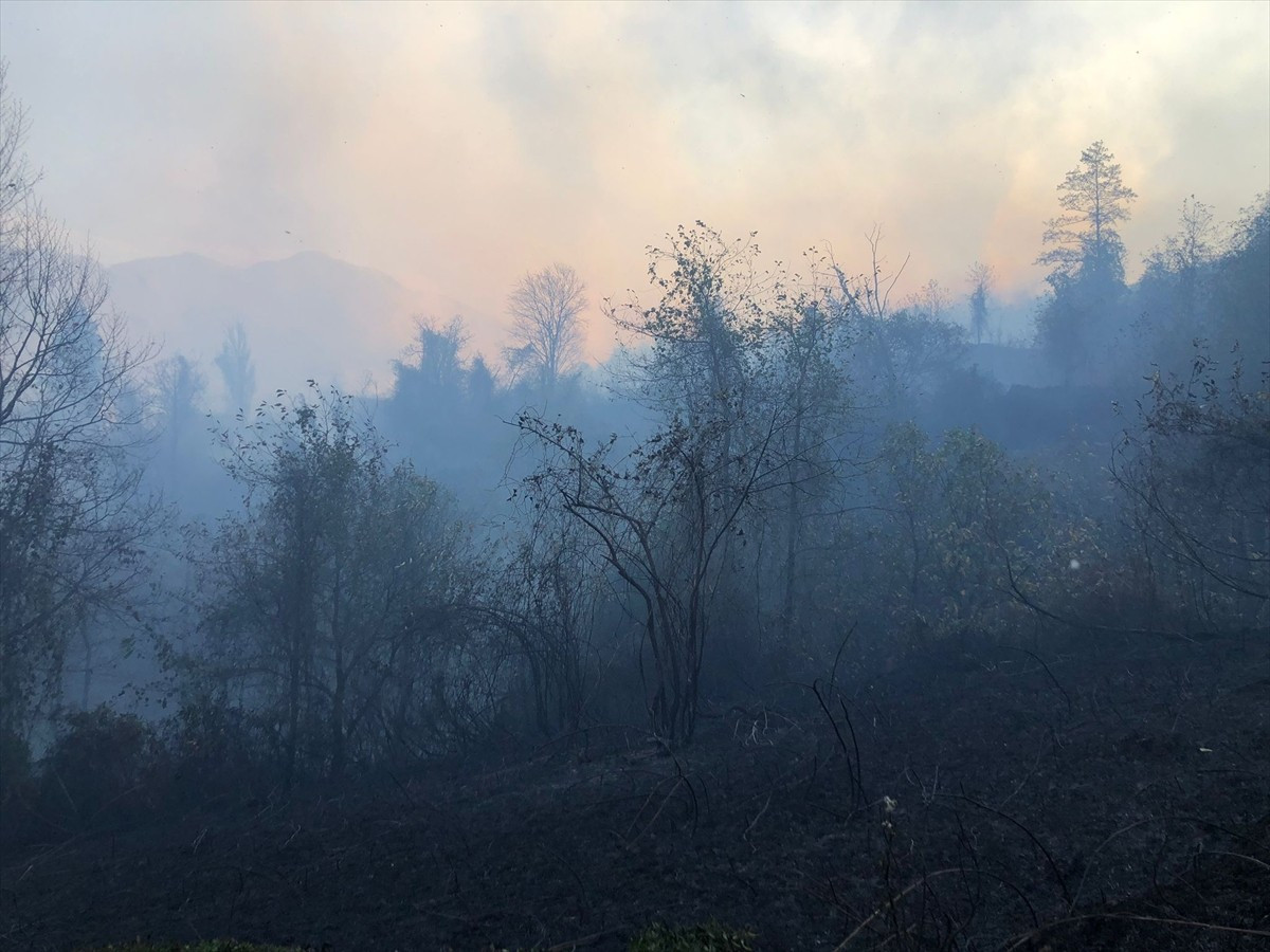  Artvin'in Hopa ilçesinde çıkan örtü yangınına müdahale ediliyor.
