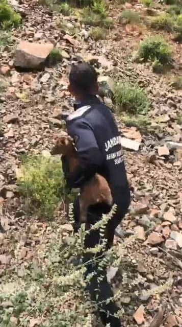 ARTVİN'İN ŞAVŞAT İLÇESİNDE KAYIP BABA VE OĞULU ARAMA ÇALIŞMALARINI SÜRDÜREN JAK DALGIÇLARI, BU KEZ...