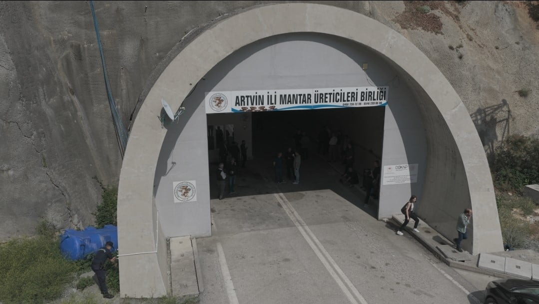 ARTVİN’DE YILLARDIR KULLANILMAYAN ORUÇLU TÜNELİ, İSTİRİDYE MANTARI ÜRETİM TESİSİNE DÖNÜŞTÜRÜLEREK...