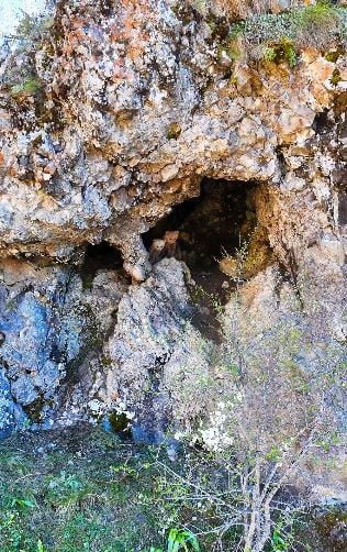 ARTVİN’İN ŞAVŞAT İLÇESİNDE ANNE AYI VE YAVRULARI İNLERİNDE DRONLA GÖRÜNTÜLENİRKEN, ARHAVİ’DE YOL...