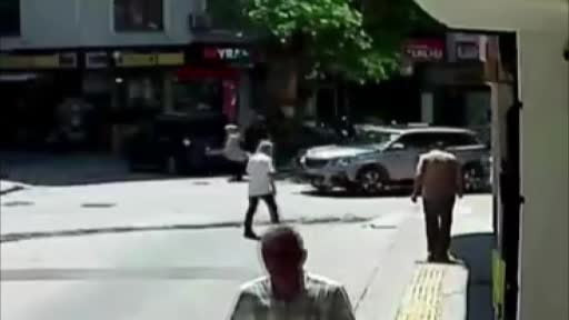 Asırlık çınarın devrilme anı kamerada