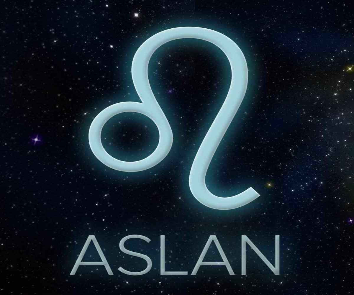 aslan burcu