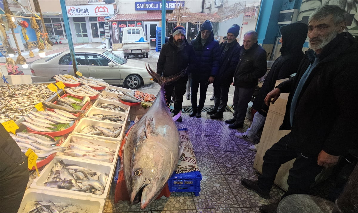 Atlantik Okyanusu'nda bir balıkçı teknesinin ağına takılan yaklaşık 3 metre uzunluğunda ve 287...