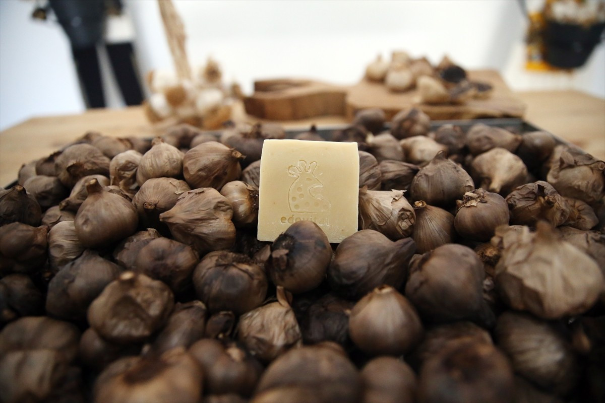 Avrupa Birliği (AB) ve Türkiye'den coğrafi işaret tescili alan Taşköprü sarımsağının fermente...