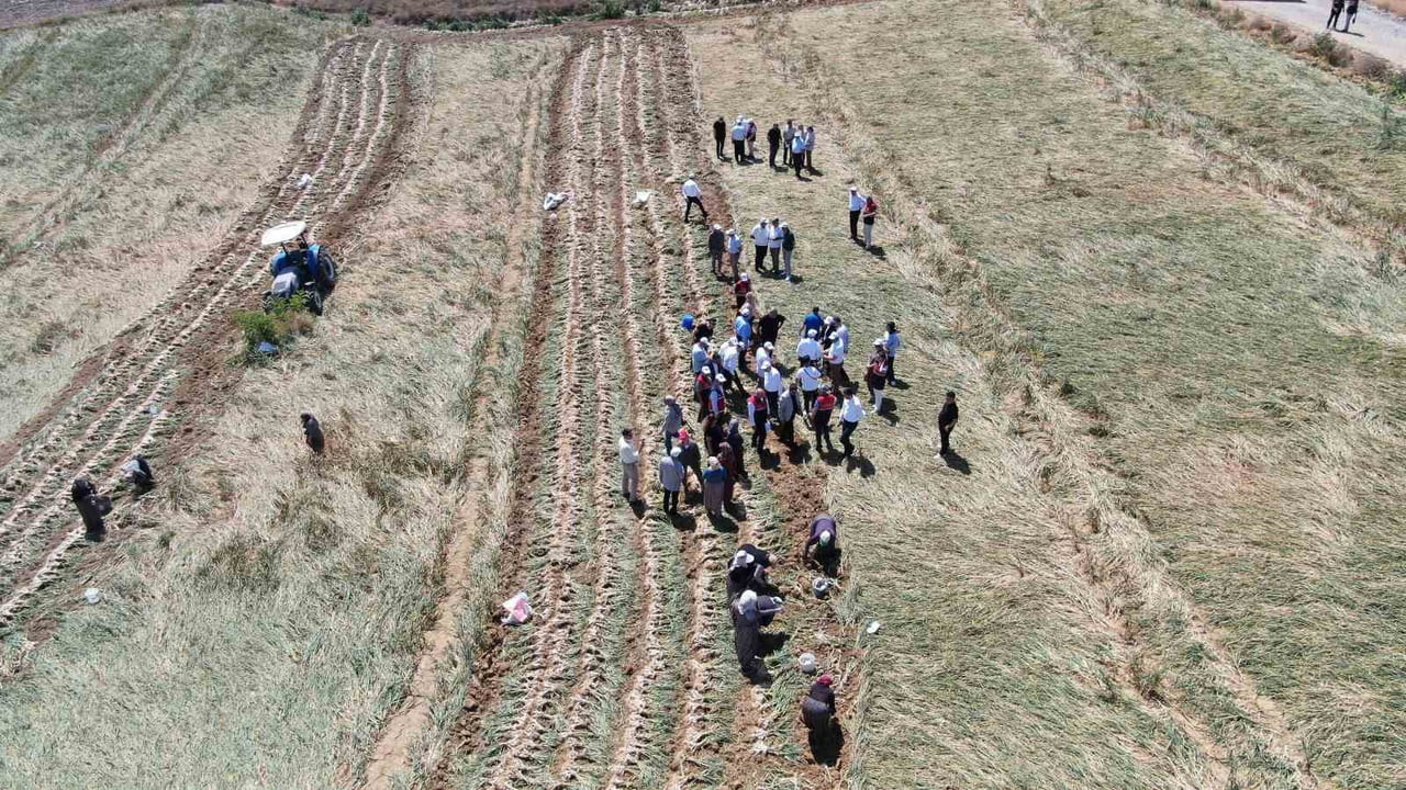 AVRUPA BİRLİĞİ’NDEN COĞRAFİ İŞARETLİ LEZZETİ VE AROMASI BAKIMINDAN DÜNYACA ÜNLÜ TAŞKÖPRÜ...