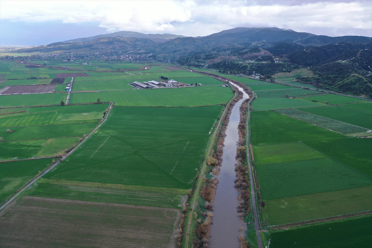 Aydın'da son günlerde etkili olan sağanak Aydın Ovası'nın can damarı Büyük Menderes Nehri'nin su...