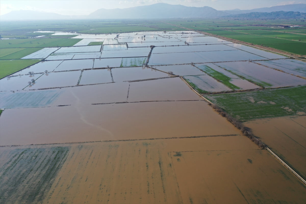Aydın'da son günlerde etkili olan sağanak nedeniyle Büyük Menderes Nehri'nin bazı noktalarında...
