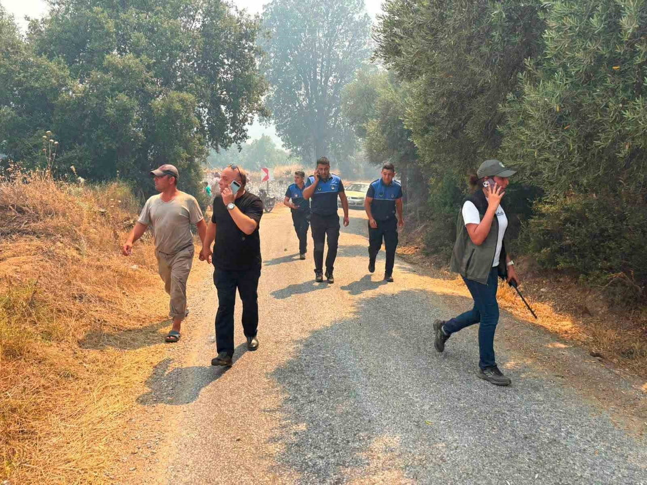 AYDIN'IN BOZDOĞAN İLÇESİ YAZIKENT MAHALLESİ EMENLİ MEVKİİ'NDE ÇIKAN YANGINA HAVADAN VE KARADAN...